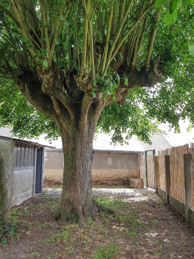 Gîte Le Carroir Veuves Exterior foto